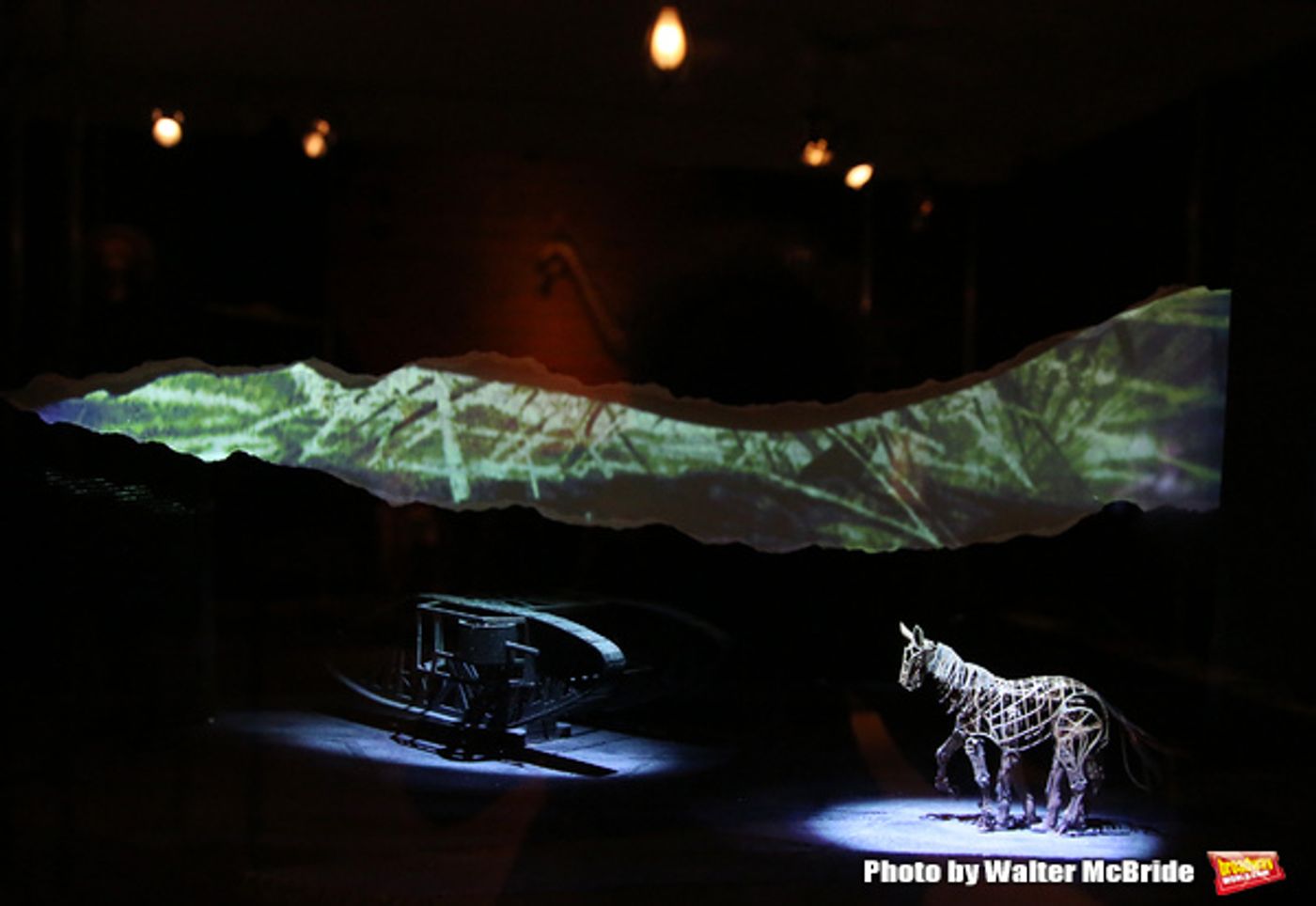 BWW Exclusive: A Visit to New York Public Library for the Performing Arts' CURTAIN UP Exhibit  Image