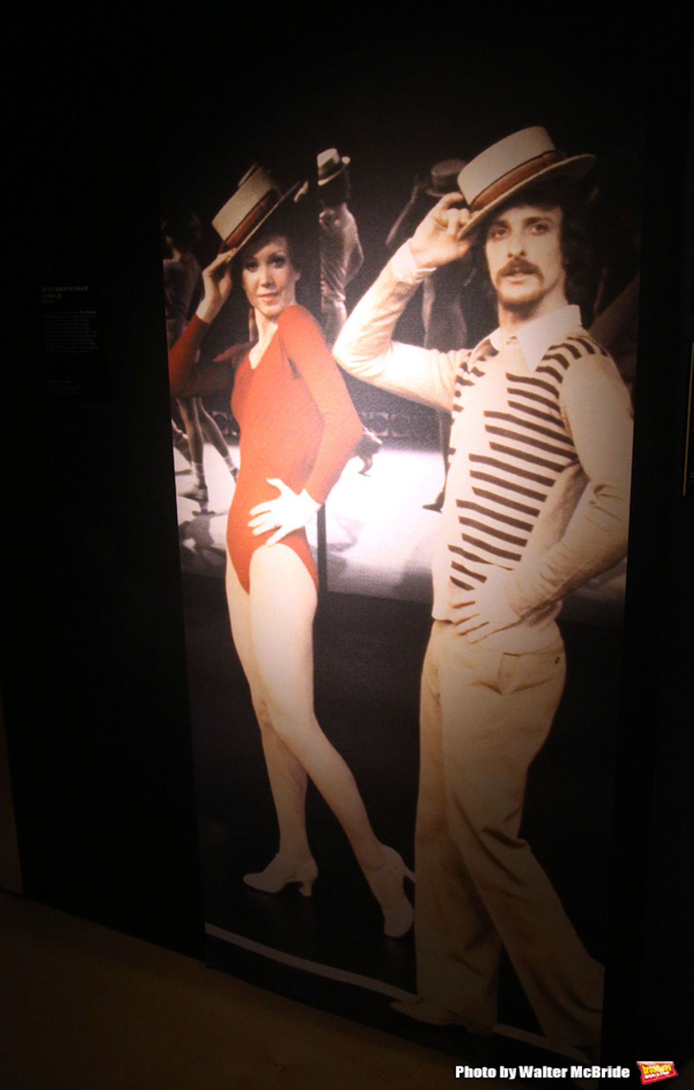 BWW Exclusive: A Visit to New York Public Library for the Performing Arts' CURTAIN UP Exhibit  Image