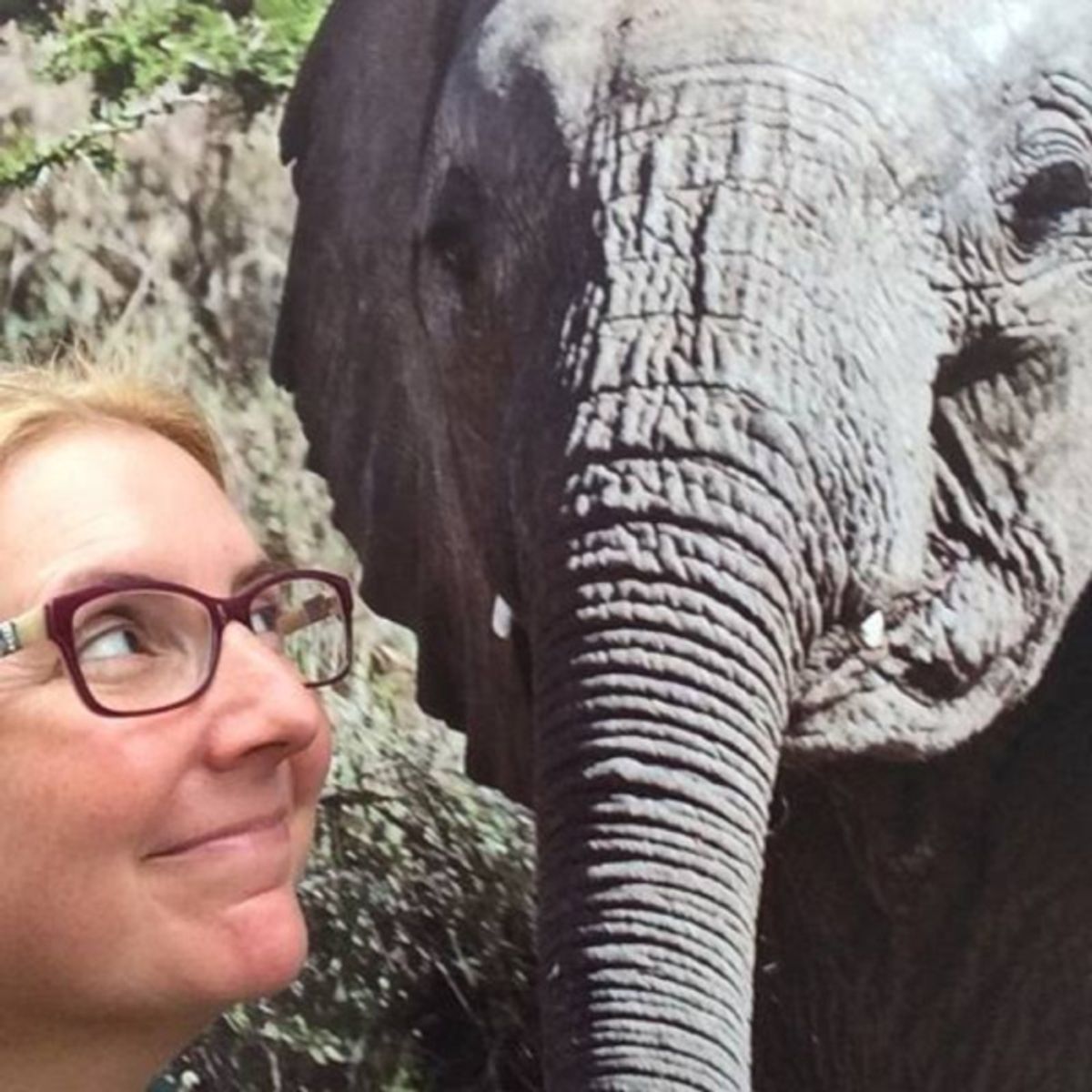  Bricken Sparacino at 