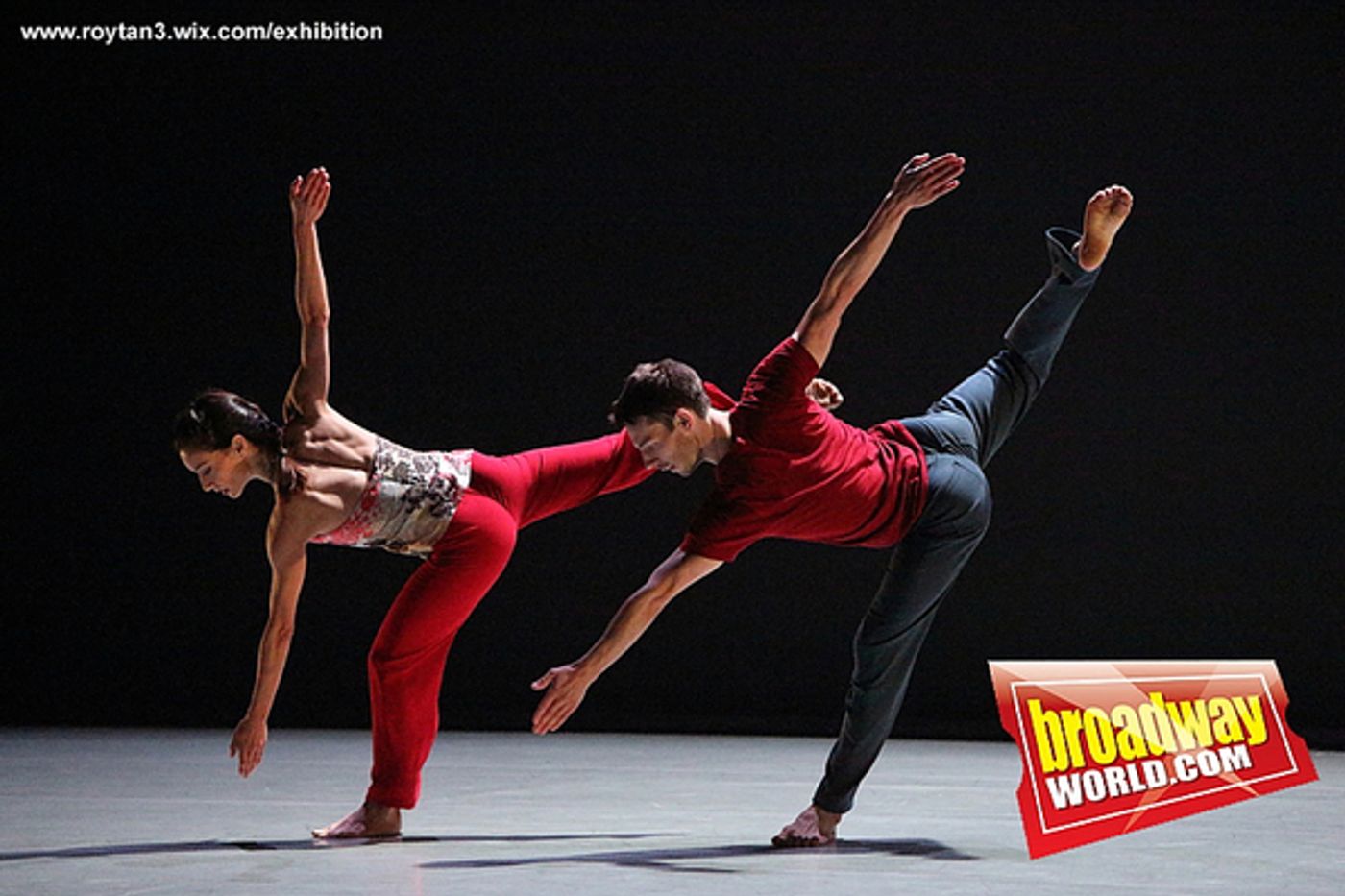 Photo Flash: Take a Look Inside Richard Alston Dance Company's Latest Series  Image