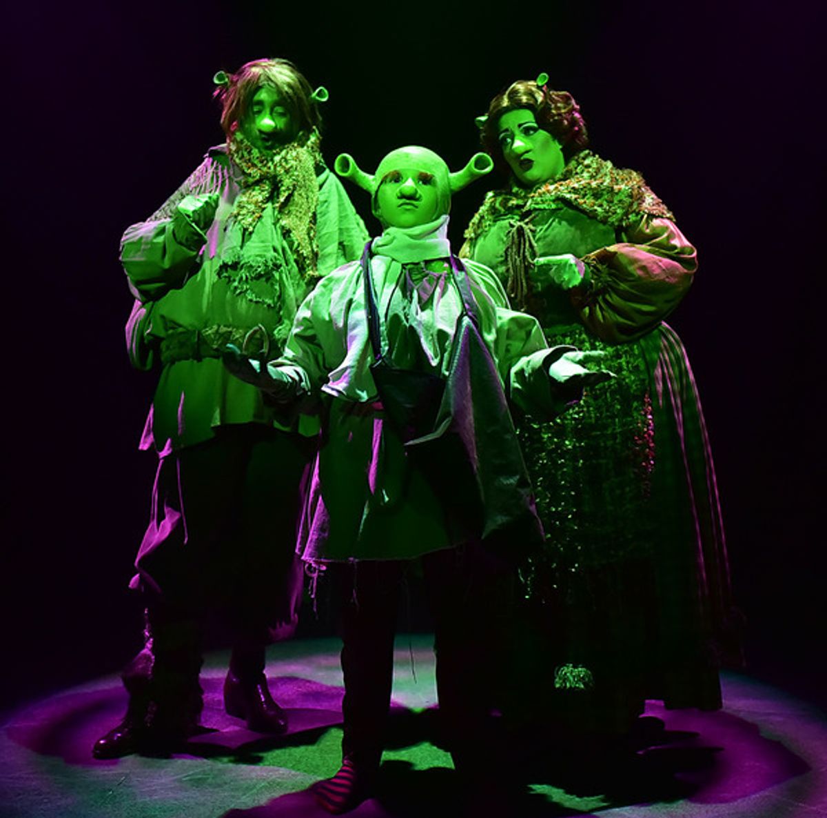 SHREK THE MUSICAL Wows at Beef and Boards. Through July 2, 2017 at 