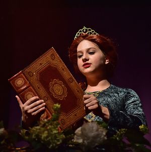 SHREK THE MUSICAL Wows at Beef and Boards. Through July 2, 2017 @ BroadwayWorld SHREK THE MUSICAL Wows at Beef and Boards. Through July 2, 2017 Photo