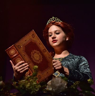 SHREK THE MUSICAL Wows at Beef and Boards. Through July 2, 2017 Photo