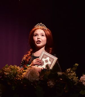 SHREK THE MUSICAL Wows at Beef and Boards. Through July 2, 2017 @ BroadwayWorld SHREK THE MUSICAL Wows at Beef and Boards. Through July 2, 2017 Photo