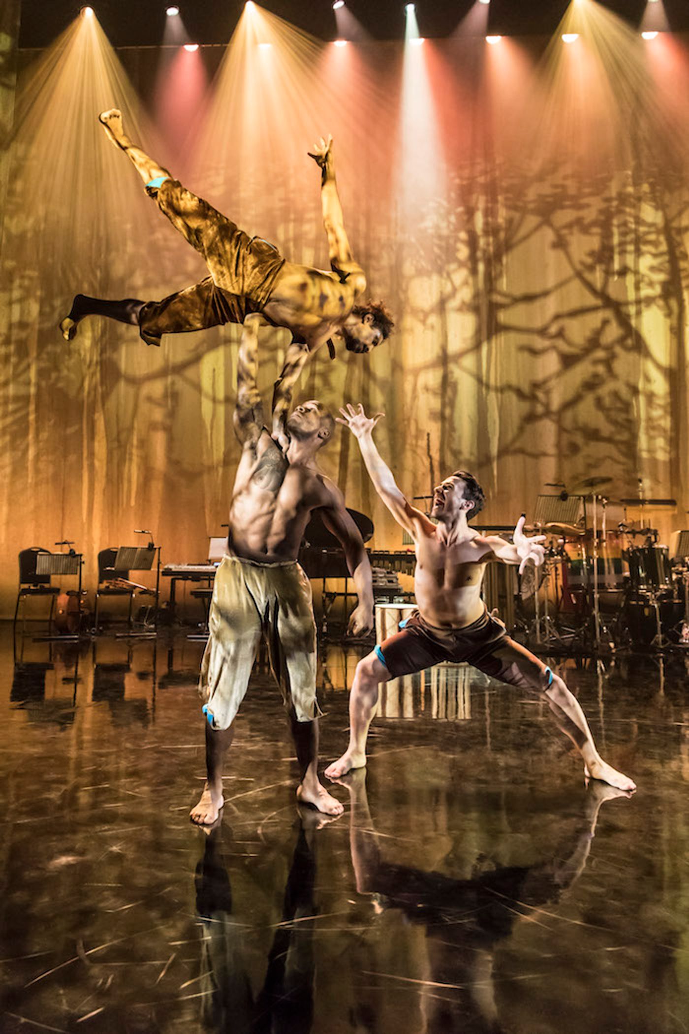 Interview: Ella Spira and Pietra Mello-Pittman Talk VOICES OF THE AMAZON  Image