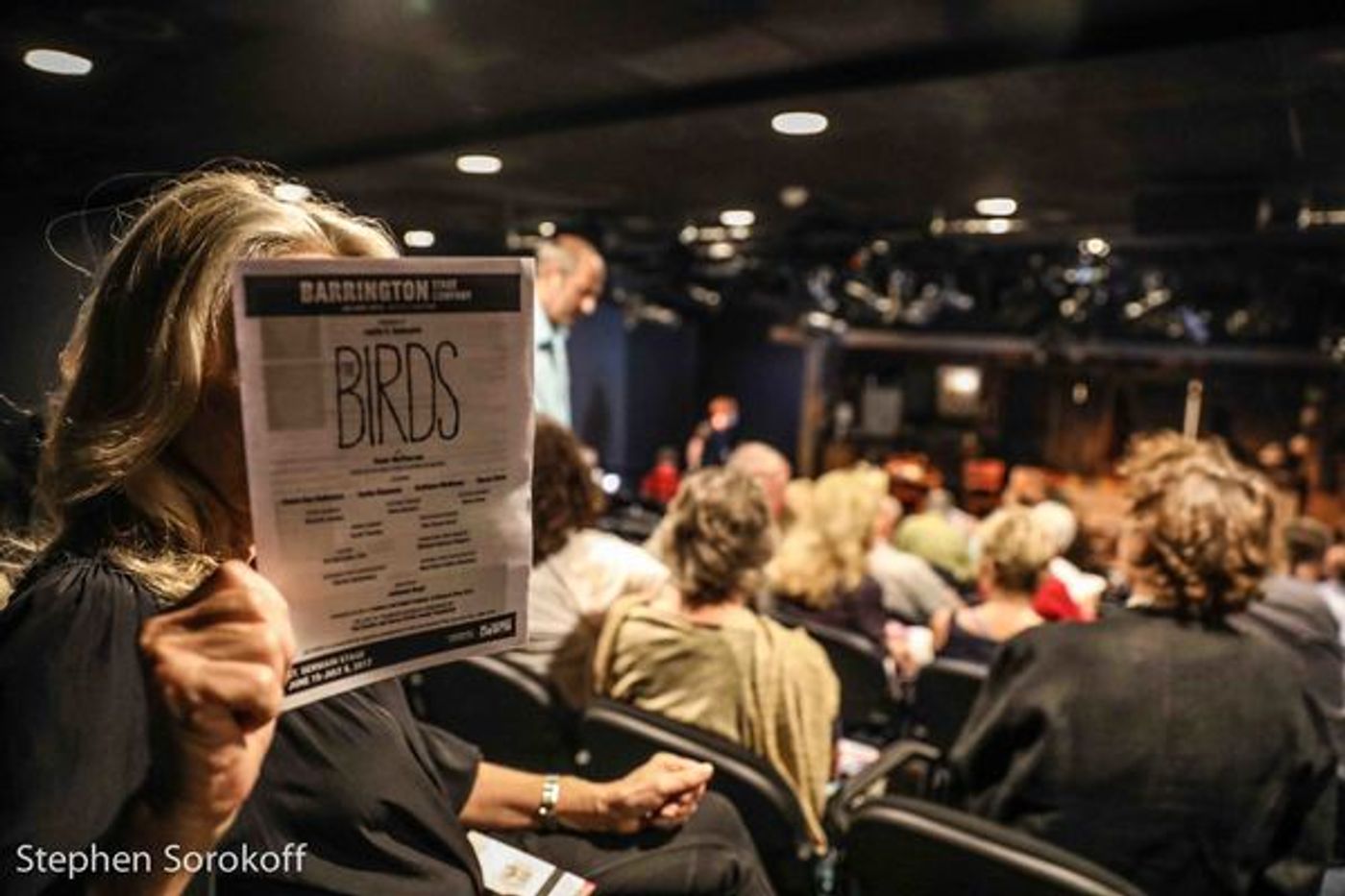 Photo Coverage: Barrington Stage Company Celebrates Opening Night of THE BIRDS  Image