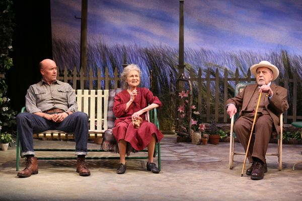 Larry Bull, Lynn Cohen and George Morfogen Photo