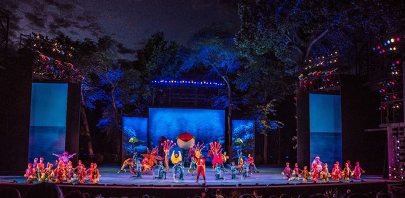 Photo Flash: First Look at Emma Degerstedt, Jason Gotay, Emily Skinner and More Making a Splash in Disney's THE LITTLE MERMAID at The Muny Photo Flash: First Look at Emma Degerstedt, Jason Gotay, Emily Skinner and More Making a Splash in Disney's THE LITTLE MERMAID at The Muny Image