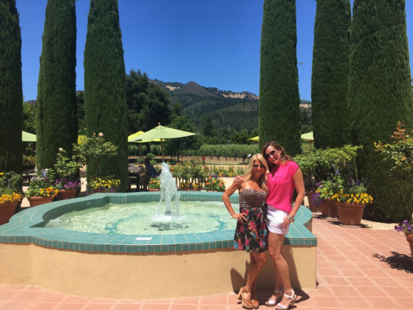 Review: Another  Openin' Weekend at Transcendence Theatre, Wine Country Paradise, Sonoma Valley Inn and More!  Image