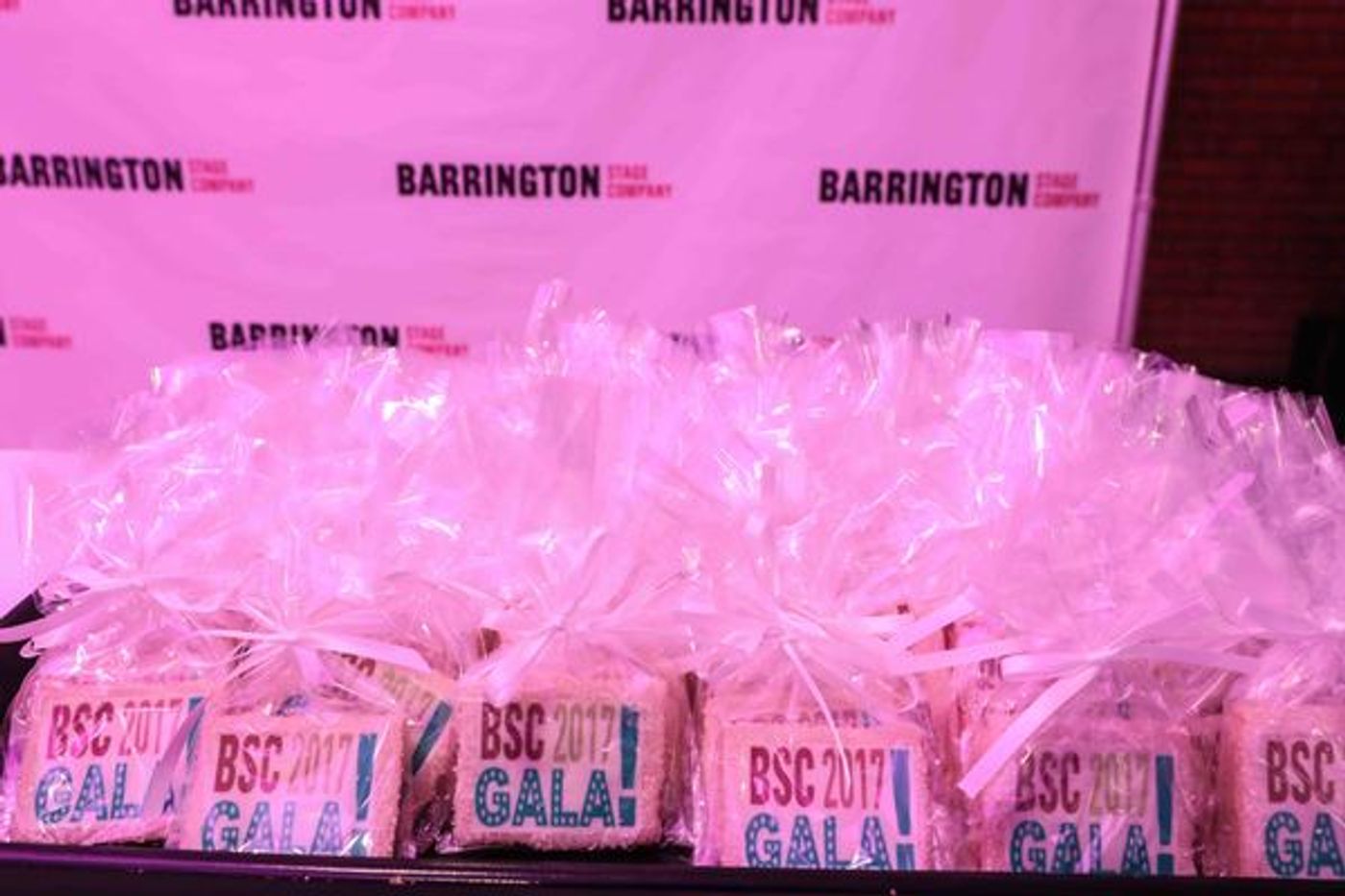 Photo Coverage: Jay Armstrong Johnson Headlines Barrington Stage Gala  Image