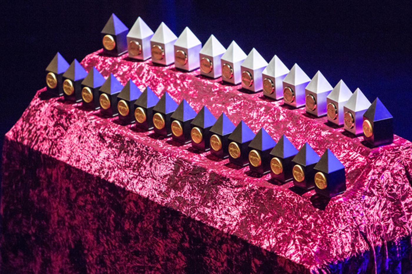 Photo Flash: Inside the Portland Area Musical Theatre Awards  Image