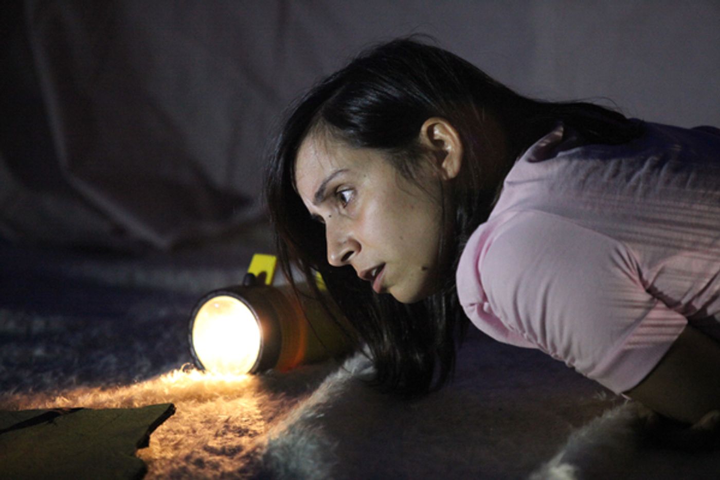 Photo Flash: Get a Sneak Peek at the 2017 Ice Factory Festival, Now Running at New Ohio Theatre  Image