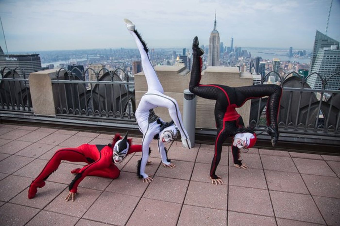 Photo Flash: Colorful Insects of Cirque's OVO Visit Top of the Rock  Image