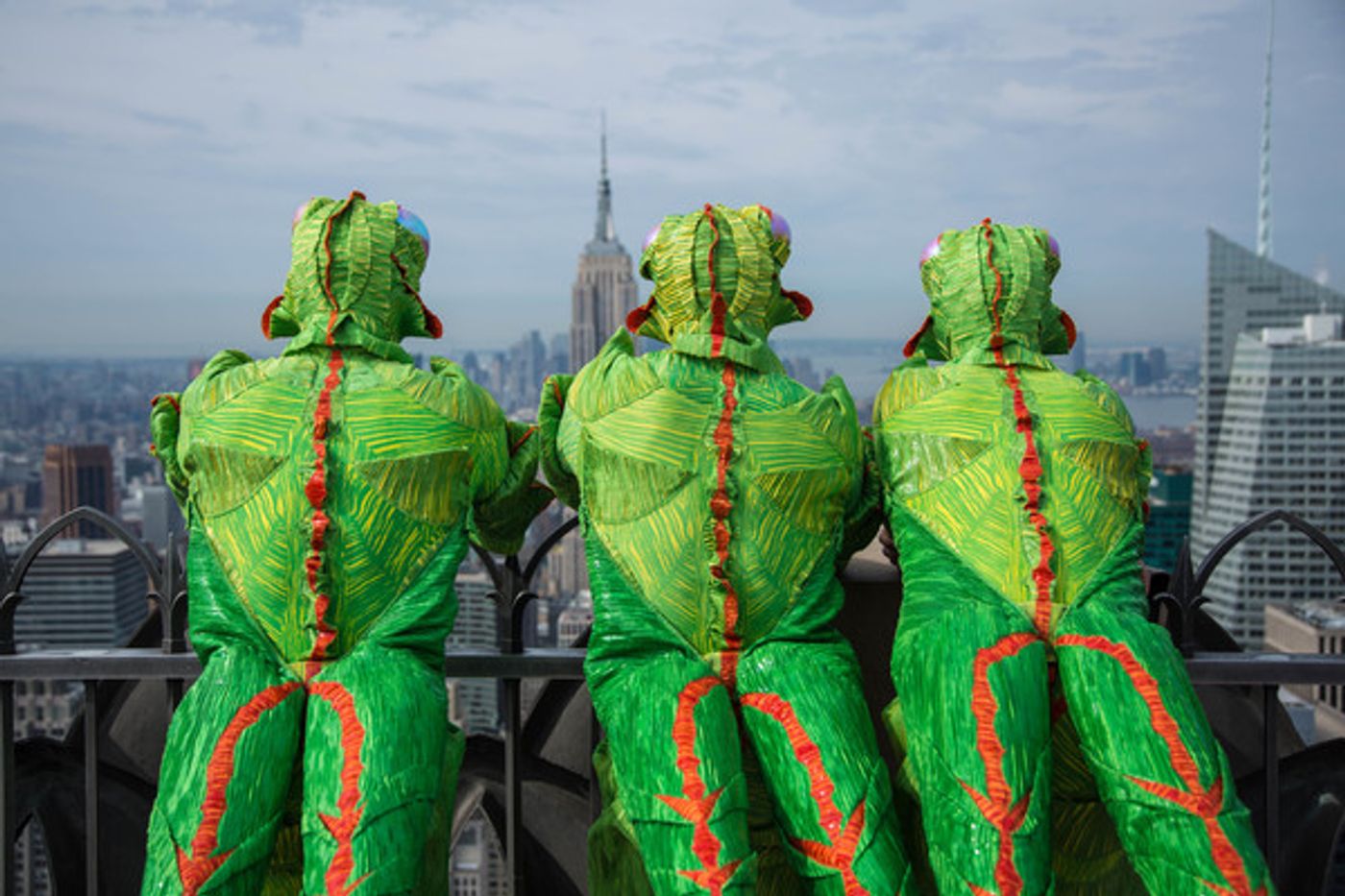Photo Flash: Colorful Insects of Cirque's OVO Visit Top of the Rock  Image