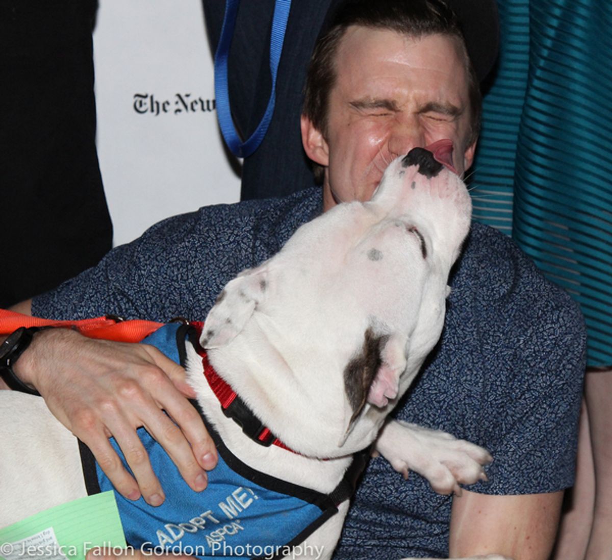 Gavin Creel at 