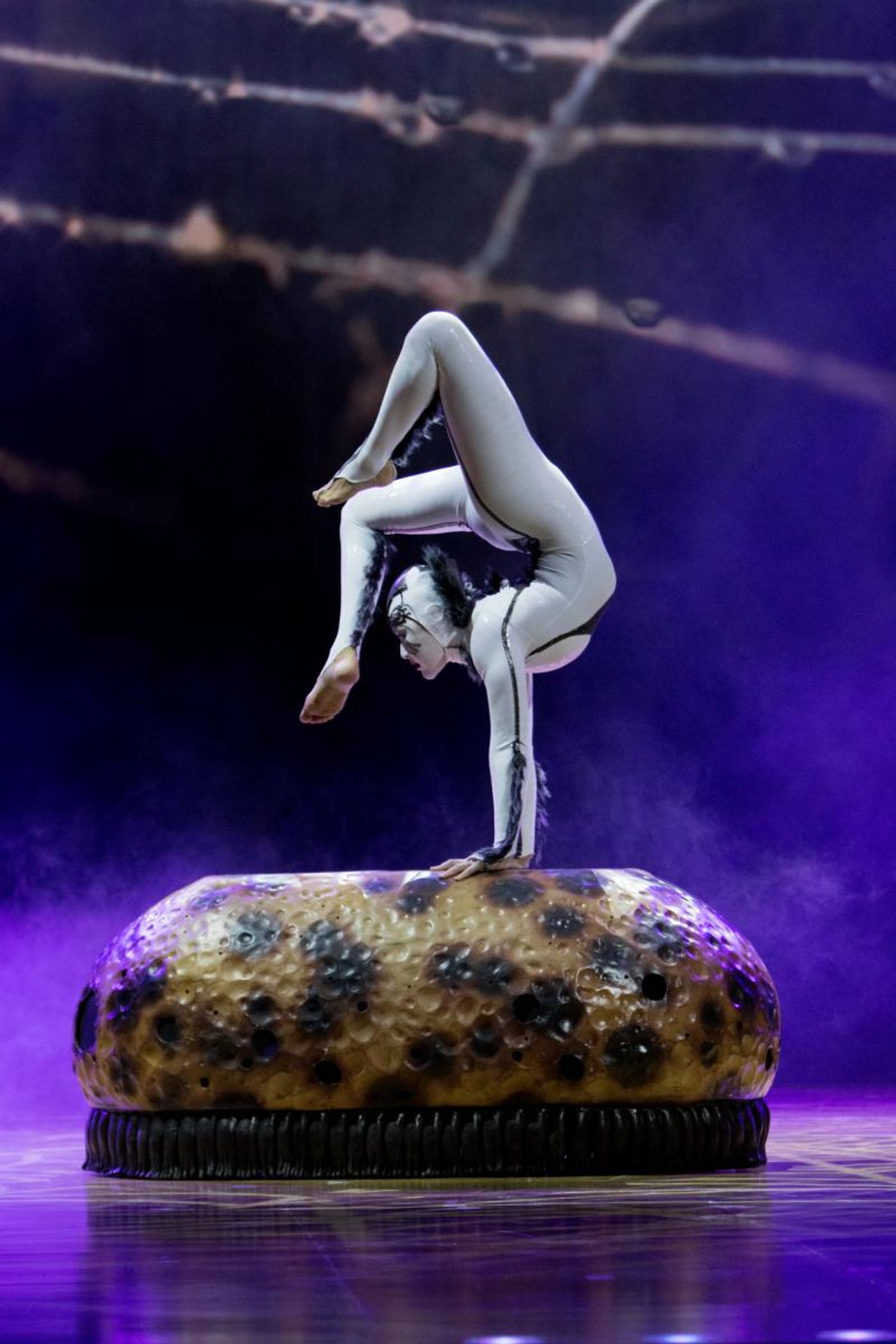 Review: Cirque du Soleil Hatches Up OVO  Image