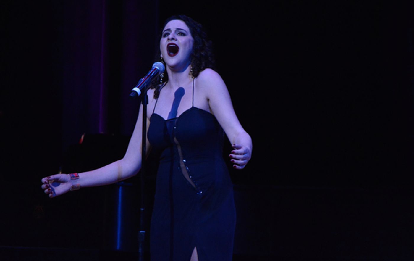 Photo Coverage: BROADWAY'S RISING STARS Brings Up-and-Coming Talent to Town Hall  Image