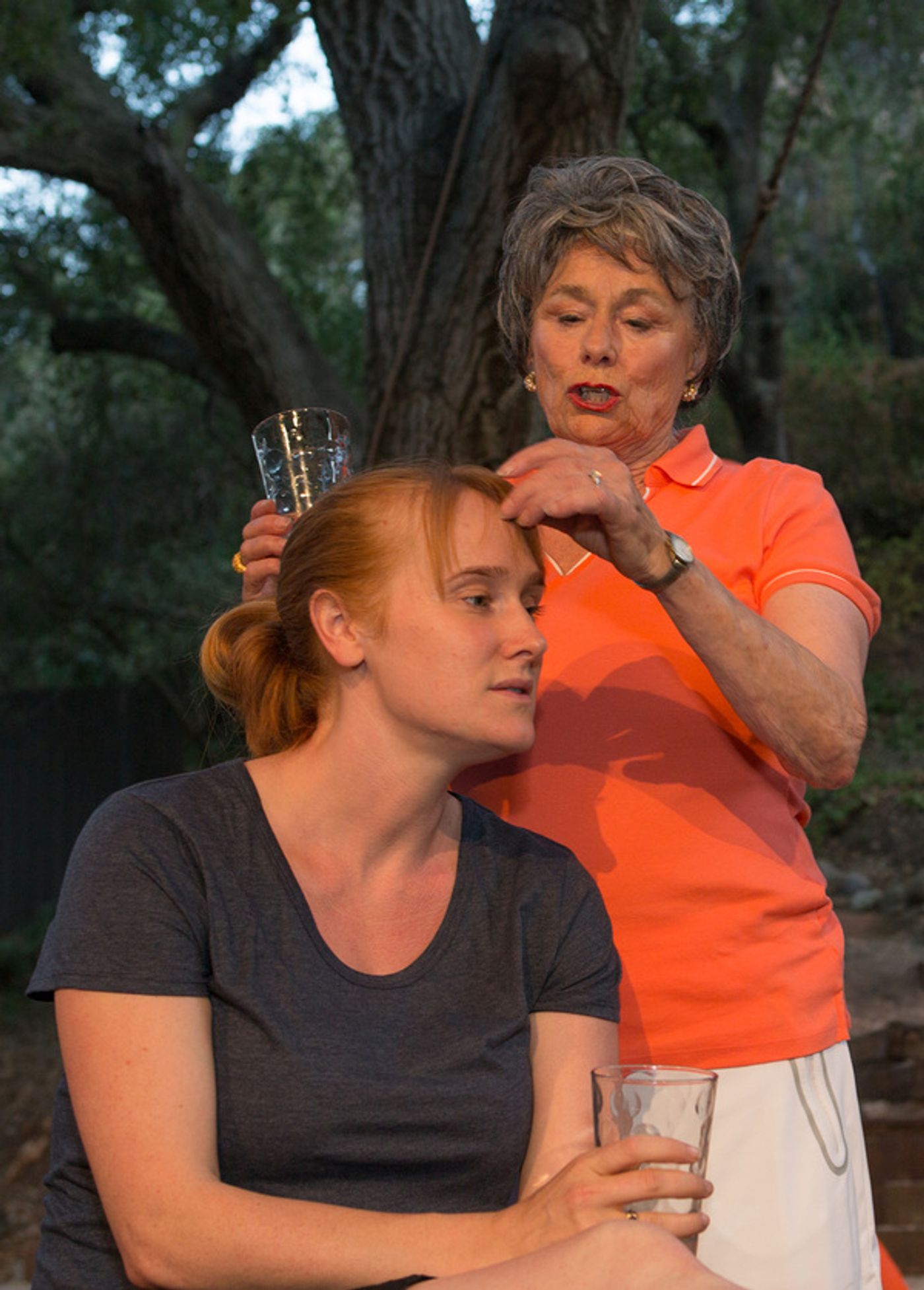 Photo Flash: Members of the Geer Family Star in OTHER DESERT CITIES by Jon Robin Baitz  Image