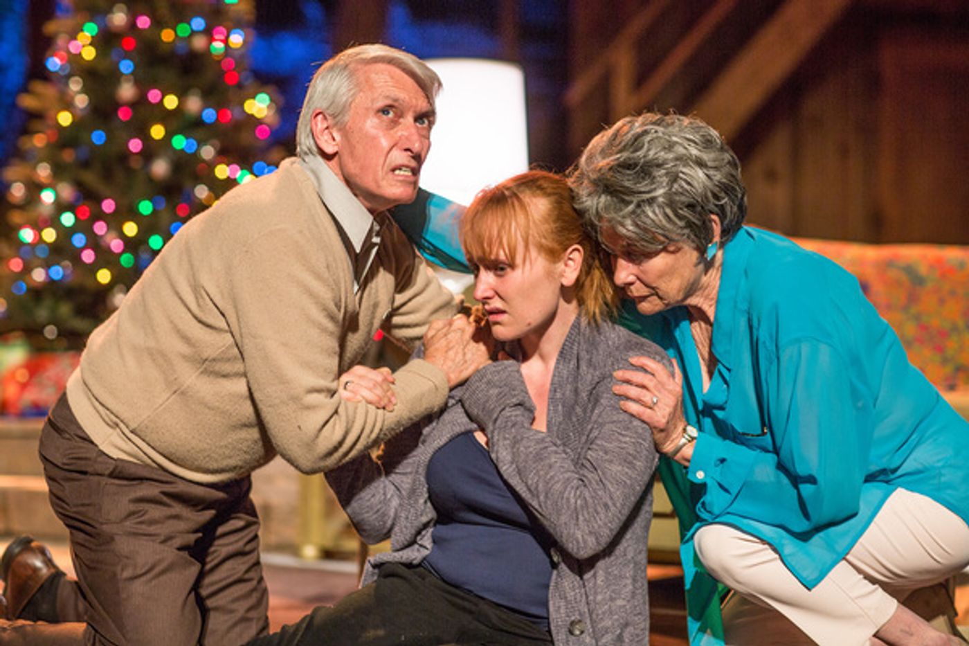 Photo Flash: Members of the Geer Family Star in OTHER DESERT CITIES by Jon Robin Baitz  Image