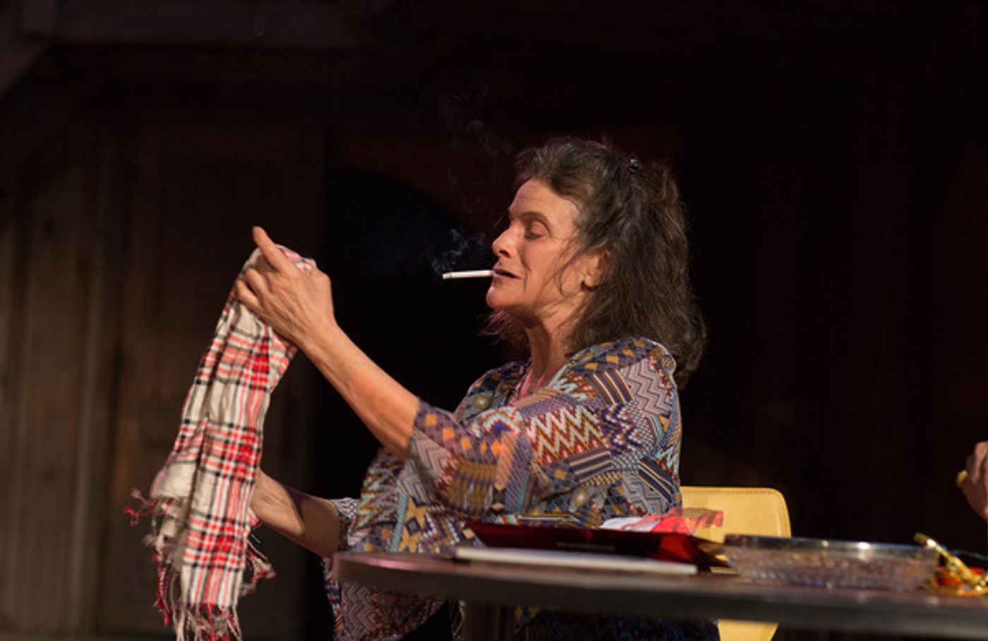 Photo Flash: Members of the Geer Family Star in OTHER DESERT CITIES by Jon Robin Baitz  Image