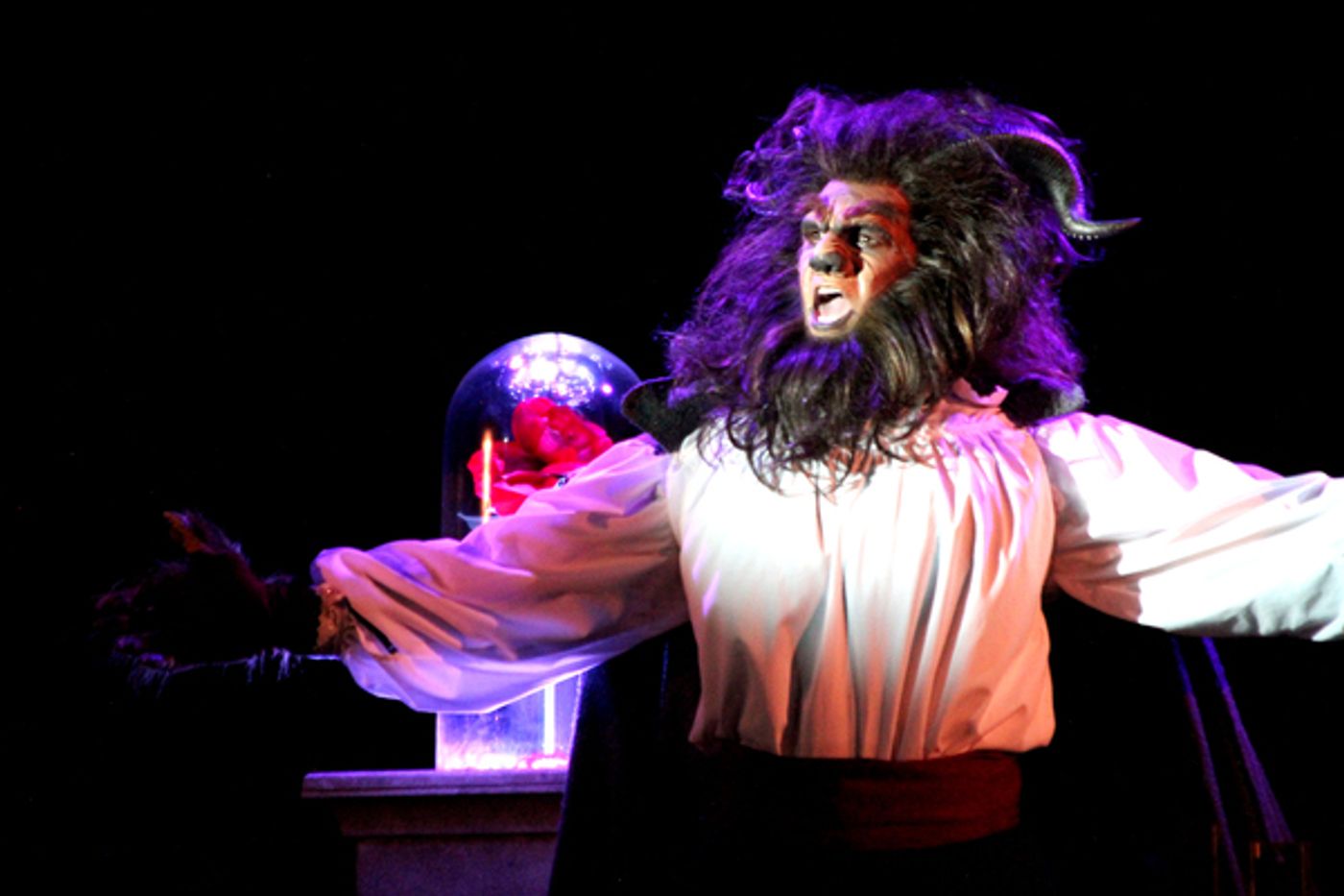 Photo Flash: First Look at Disney's BEAUTY AND THE BEAST, Featuring Christiane Noll at North Shore Music Theatre Photo Flash: First Look at Disney's BEAUTY AND THE BEAST, Featuring Christiane Noll at North Shore Music Theatre Image