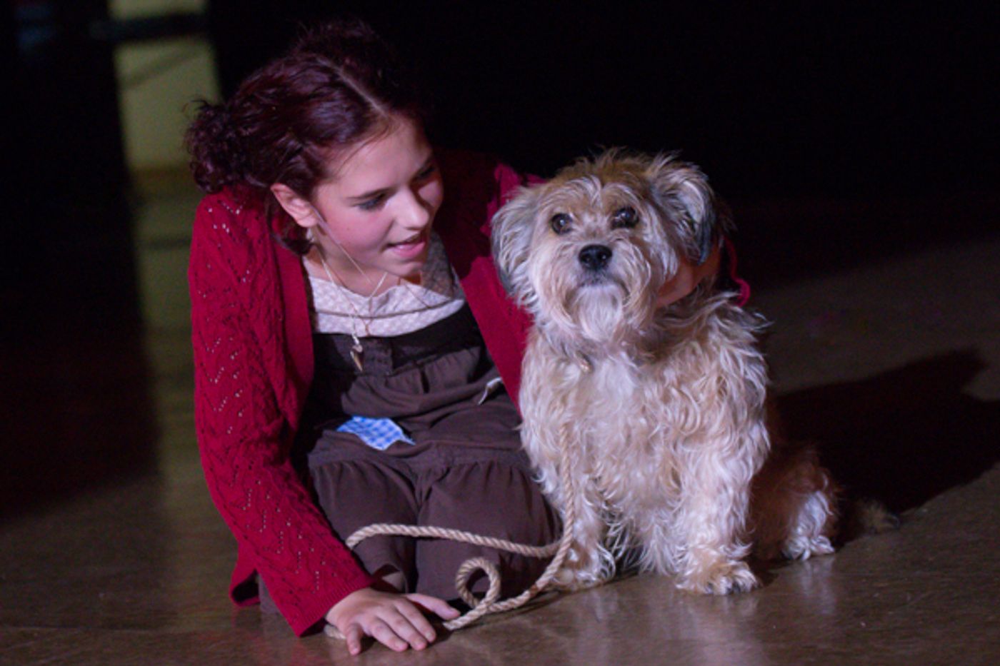 Photo Coverage: First look at Pickerington Community Theatre's ANNIE  Image