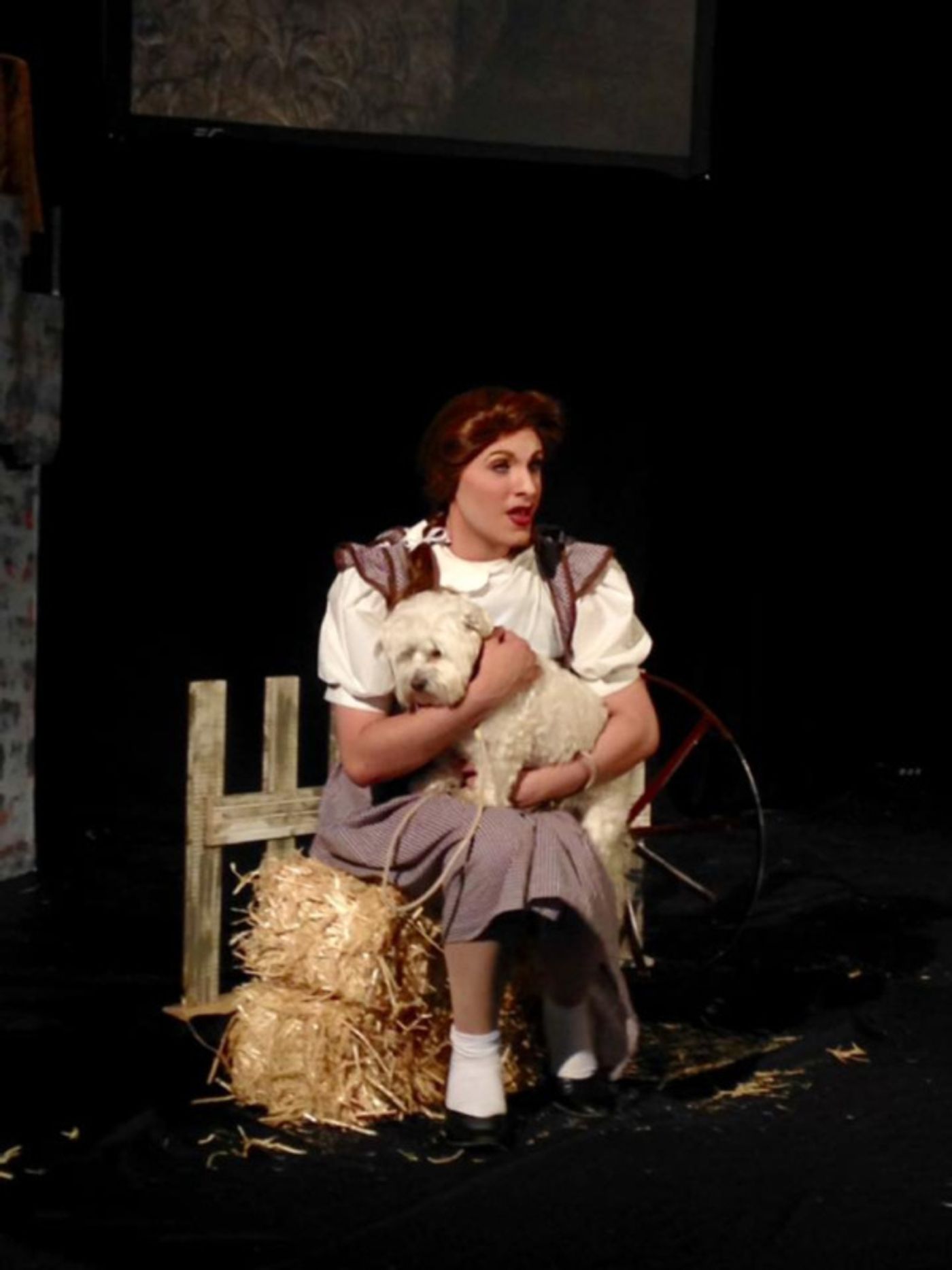 Photo Flash: Summer Orlando Becomes First Male Actor to Play 'Dorothy' in THE WIZARD OF OZ  Image