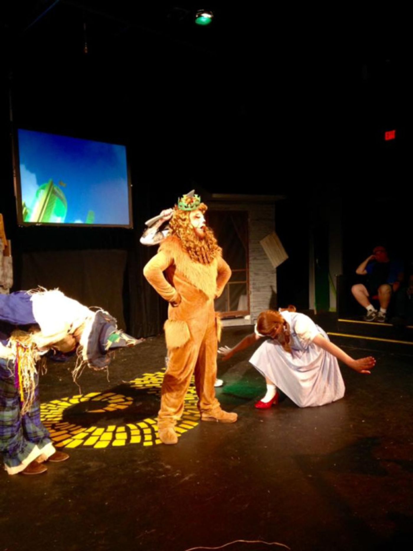 Photo Flash: Summer Orlando Becomes First Male Actor to Play 'Dorothy' in THE WIZARD OF OZ  Image