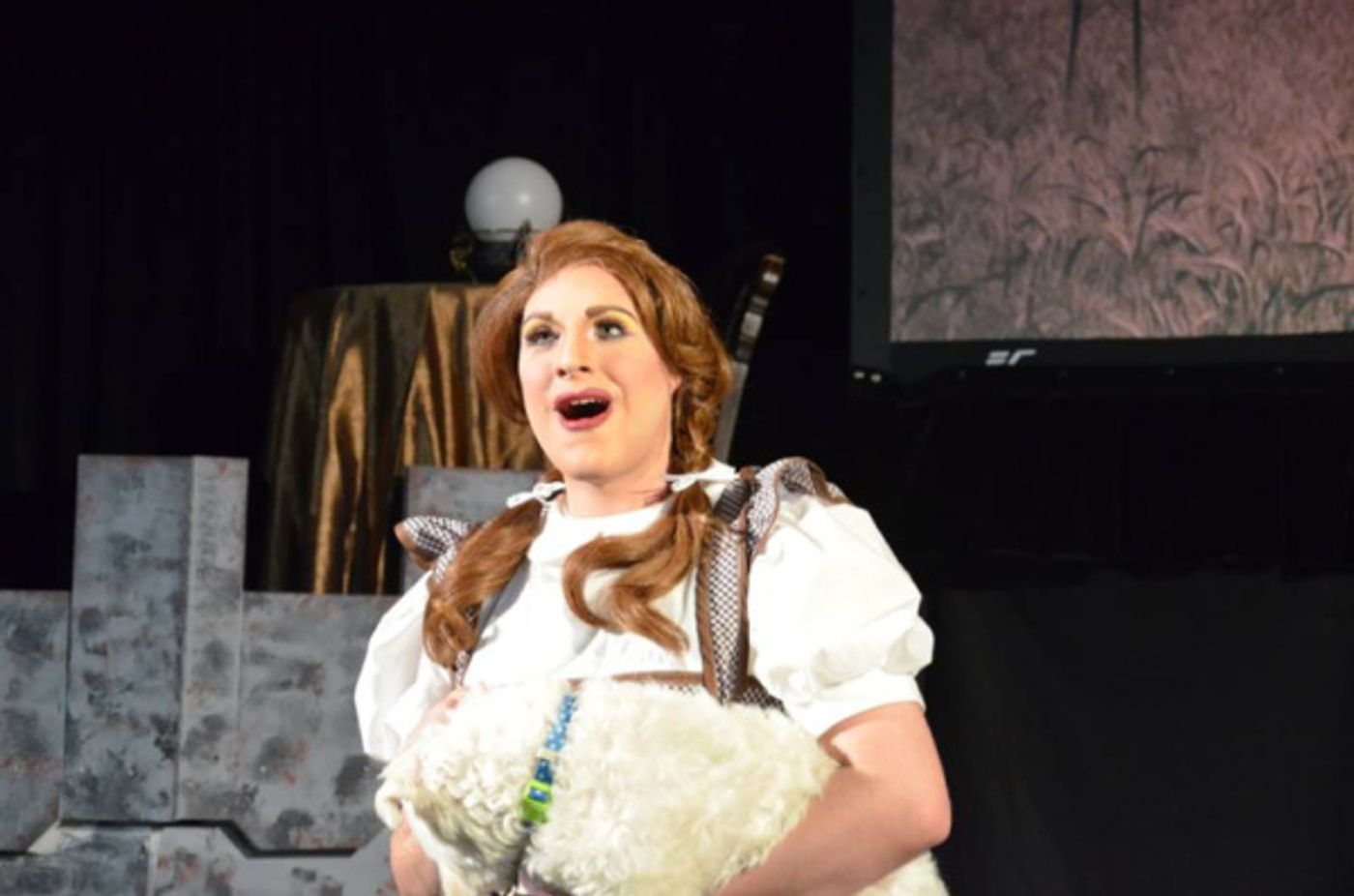 Photo Flash: Summer Orlando Becomes First Male Actor to Play 'Dorothy' in THE WIZARD OF OZ  Image