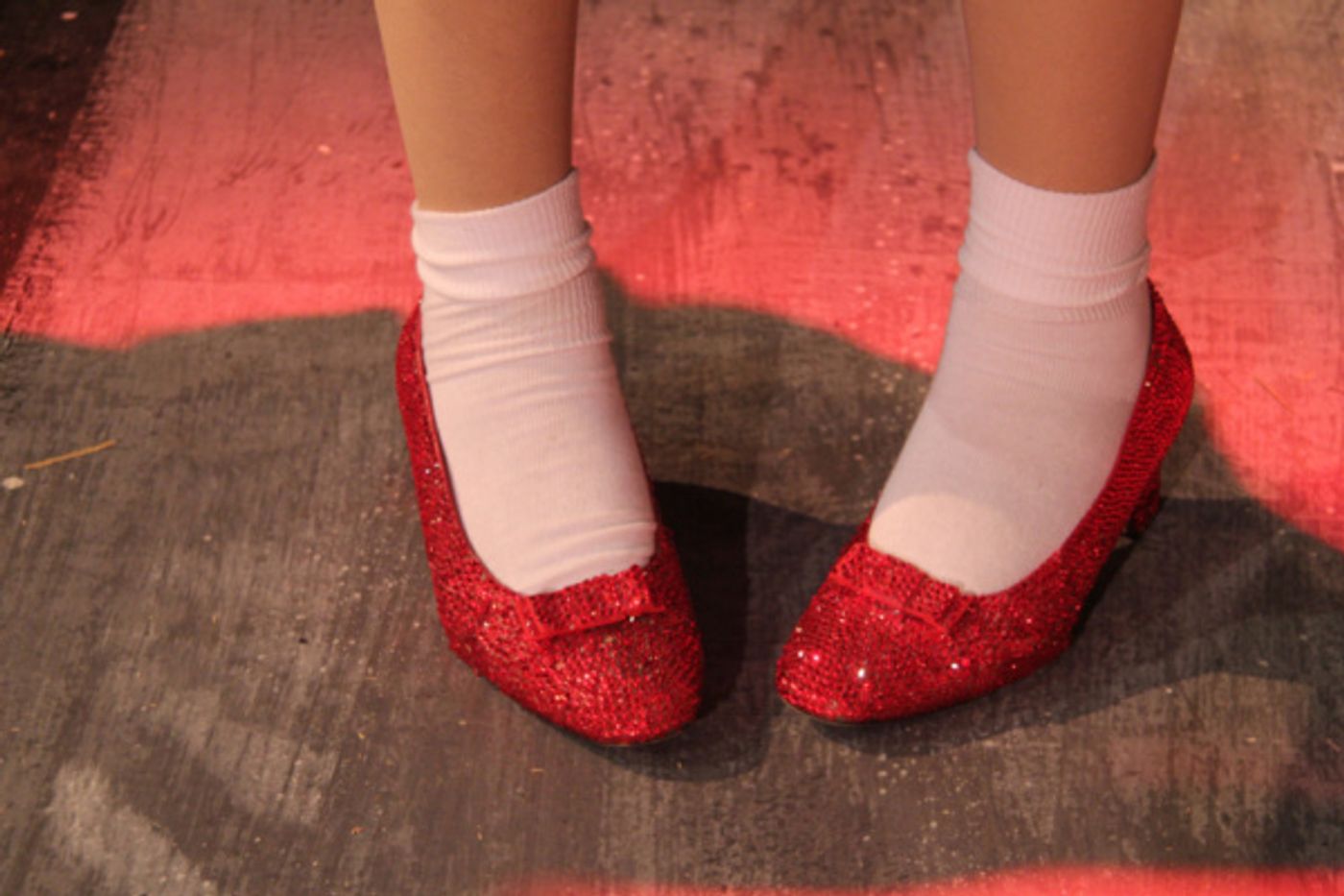 Photo Flash: Summer Orlando Becomes First Male Actor to Play 'Dorothy' in THE WIZARD OF OZ  Image