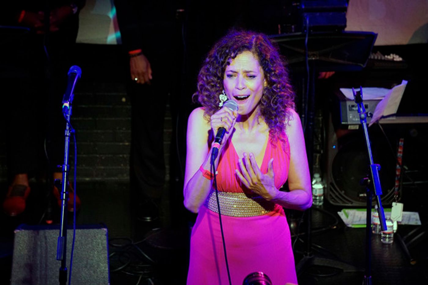 Photo Flash: The Actors Fund Celebrates FAME 35th Anniversary Reunion Concert Photo Flash: The Actors Fund Celebrates FAME 35th Anniversary Reunion Concert Image