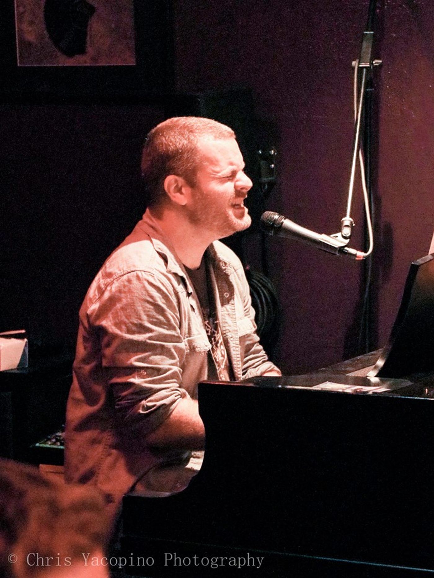 BWW Previews: STEEV RICHTER at The Hudson House BWW Previews: STEEV RICHTER at The Hudson House Image