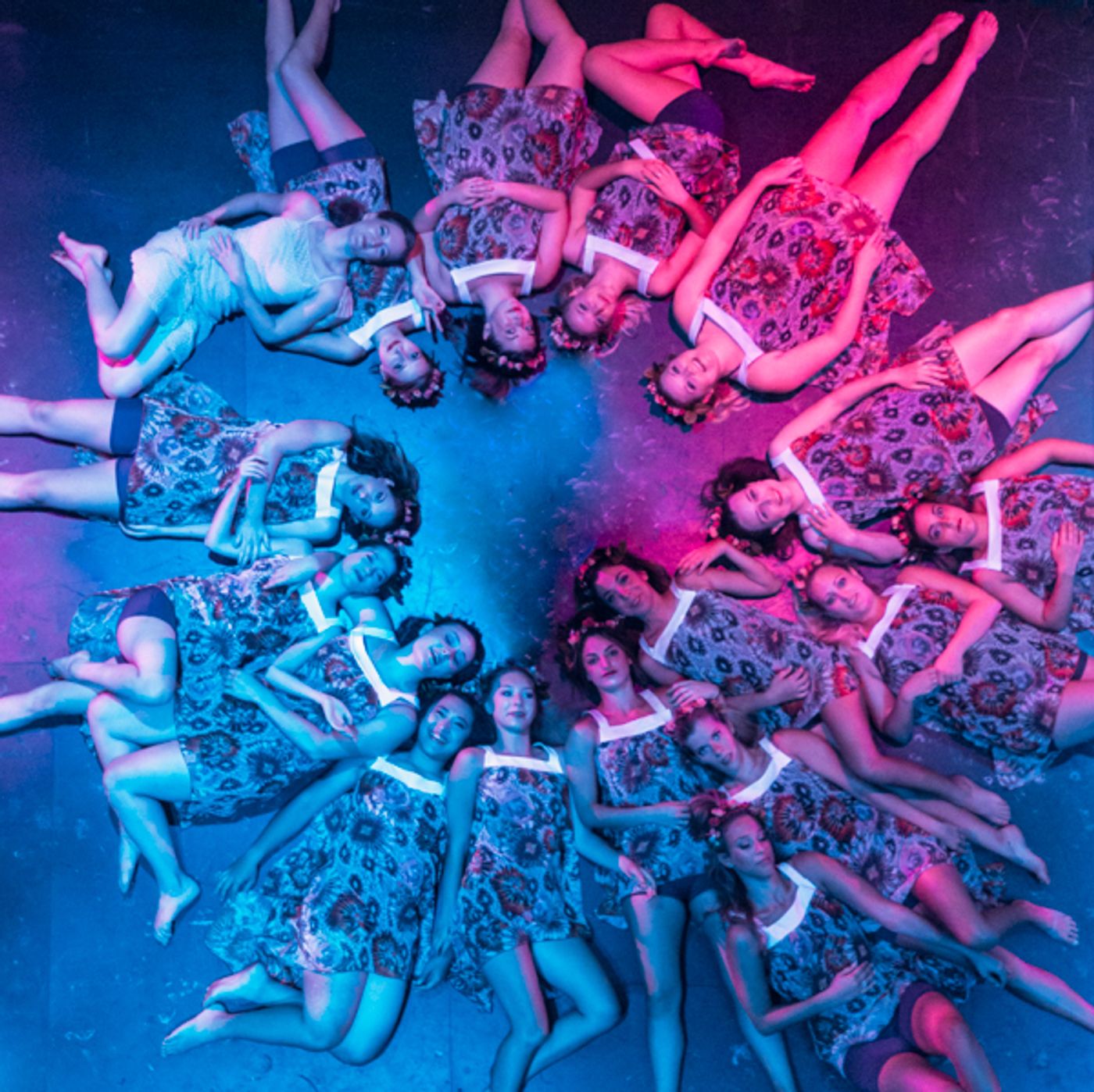 Photo Coverage: First look at New Vision Dance Co.'s TAKING ROOT Photo Coverage: First look at New Vision Dance Co.'s TAKING ROOT Image