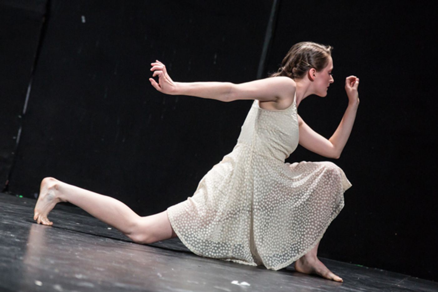 Photo Coverage: First look at New Vision Dance Co.'s TAKING ROOT Photo Coverage: First look at New Vision Dance Co.'s TAKING ROOT Image