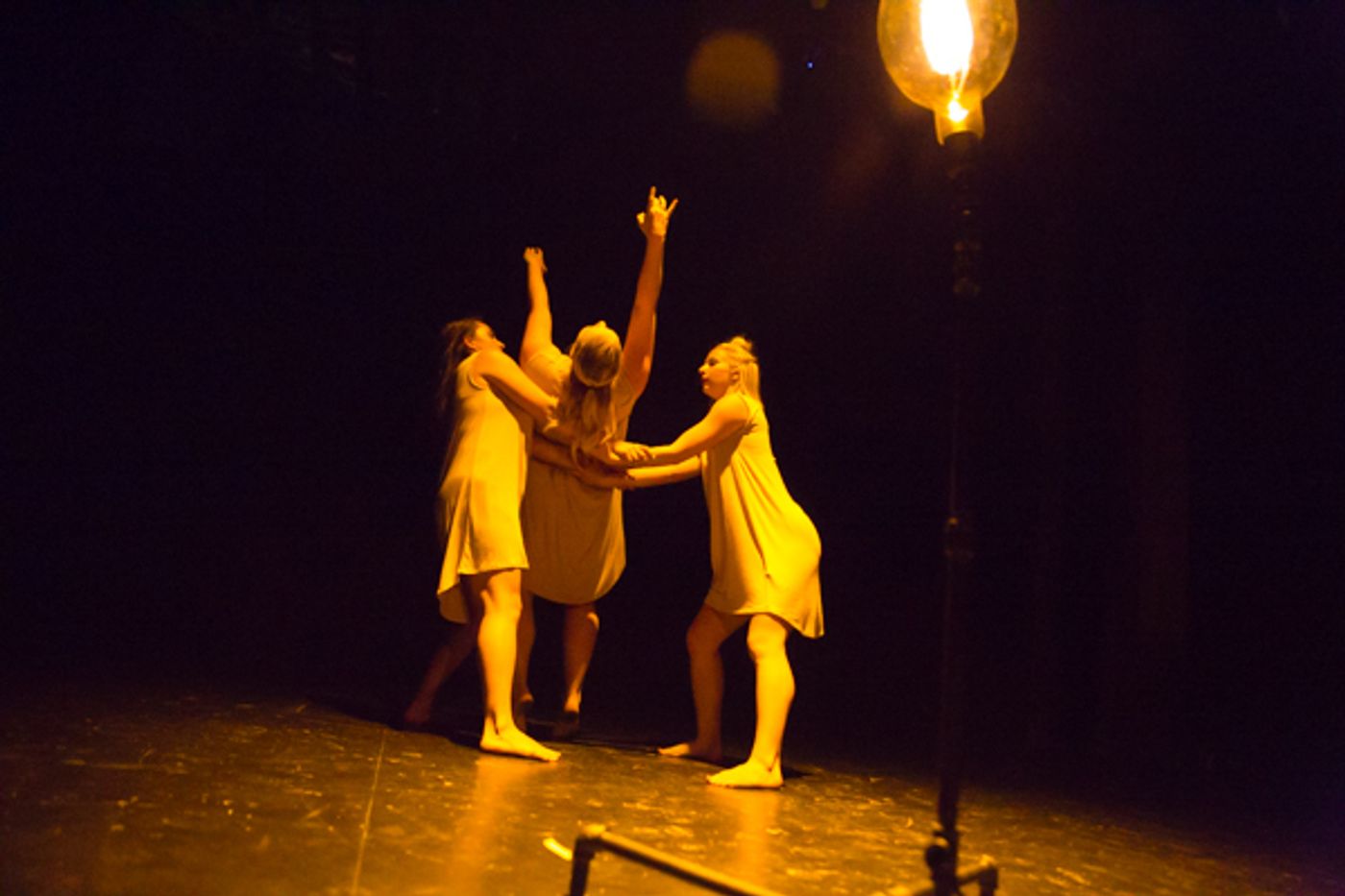 Photo Coverage: First look at New Vision Dance Co.'s TAKING ROOT Photo Coverage: First look at New Vision Dance Co.'s TAKING ROOT Image