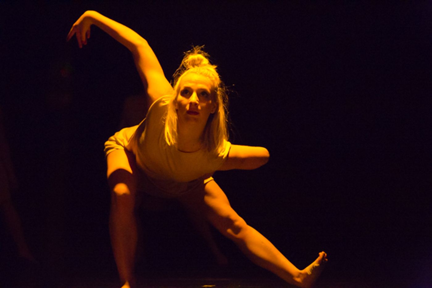 Photo Coverage: First look at New Vision Dance Co.'s TAKING ROOT Photo Coverage: First look at New Vision Dance Co.'s TAKING ROOT Image