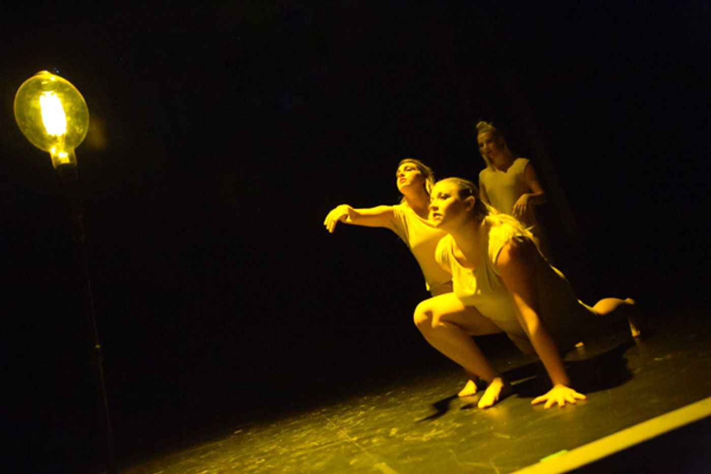 Photo Coverage: First look at New Vision Dance Co.'s TAKING ROOT Photo Coverage: First look at New Vision Dance Co.'s TAKING ROOT Image