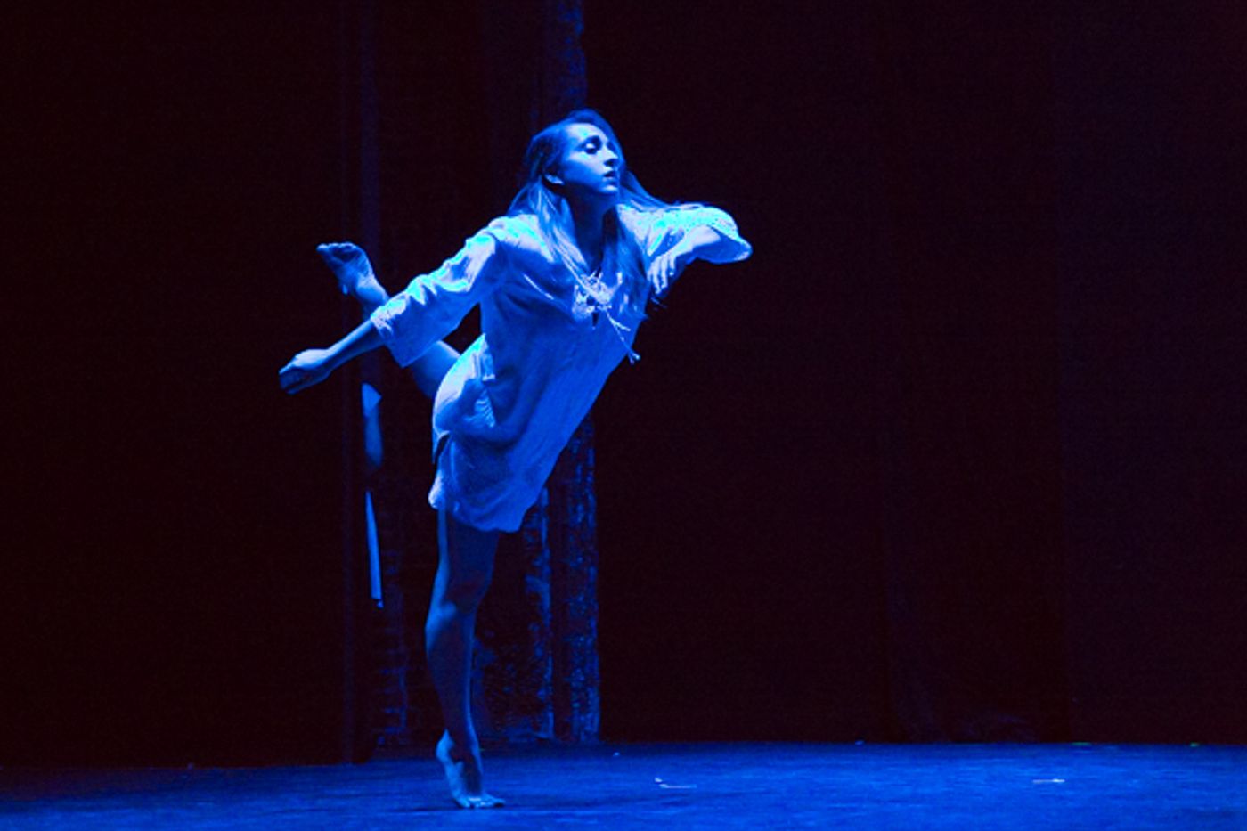 Photo Coverage: First look at New Vision Dance Co.'s TAKING ROOT Photo Coverage: First look at New Vision Dance Co.'s TAKING ROOT Image