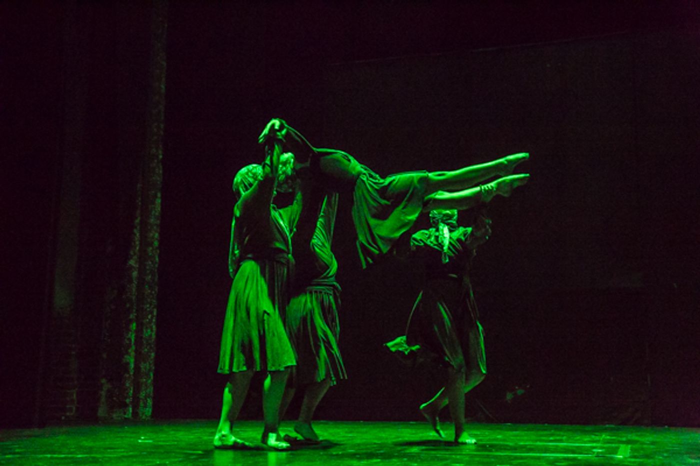 Photo Coverage: First look at New Vision Dance Co.'s TAKING ROOT Photo Coverage: First look at New Vision Dance Co.'s TAKING ROOT Image