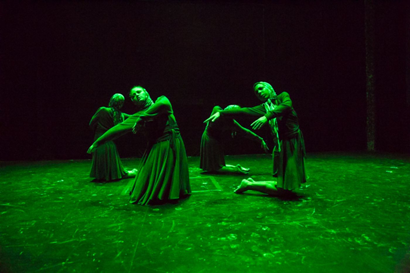 Photo Coverage: First look at New Vision Dance Co.'s TAKING ROOT Photo Coverage: First look at New Vision Dance Co.'s TAKING ROOT Image