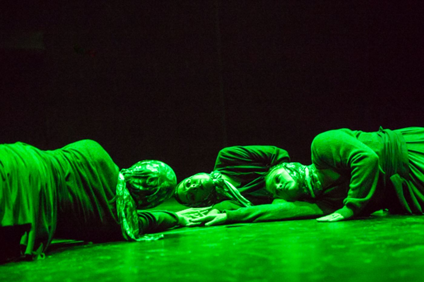 Photo Coverage: First look at New Vision Dance Co.'s TAKING ROOT Photo Coverage: First look at New Vision Dance Co.'s TAKING ROOT Image