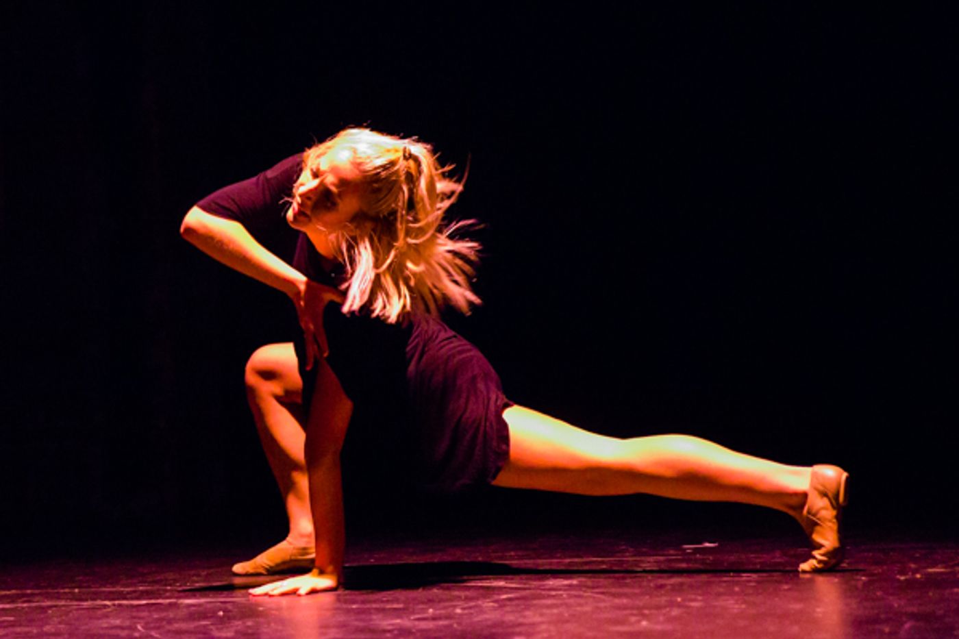 Photo Coverage: First look at New Vision Dance Co.'s TAKING ROOT Photo Coverage: First look at New Vision Dance Co.'s TAKING ROOT Image