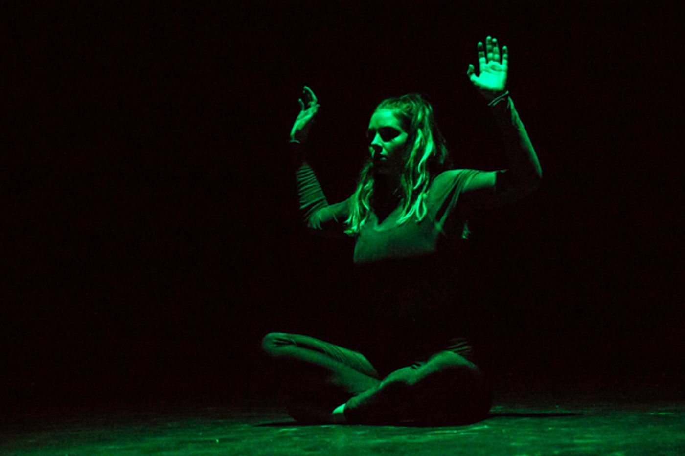 Photo Coverage: First look at New Vision Dance Co.'s TAKING ROOT Photo Coverage: First look at New Vision Dance Co.'s TAKING ROOT Image