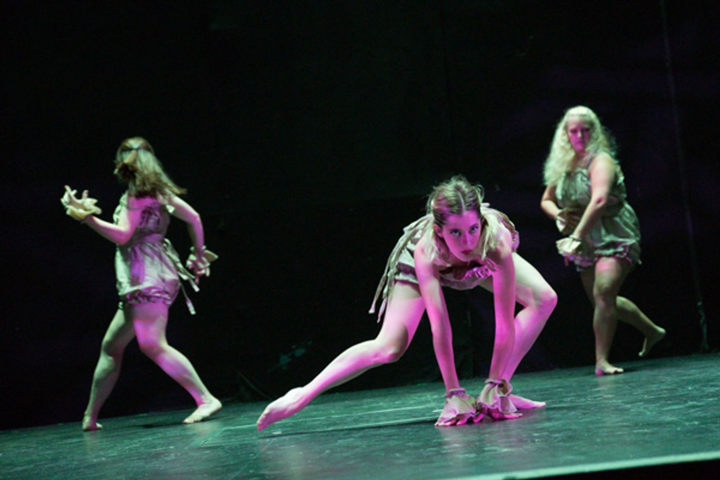 Photo Coverage: First look at New Vision Dance Co.'s TAKING ROOT Photo Coverage: First look at New Vision Dance Co.'s TAKING ROOT Image