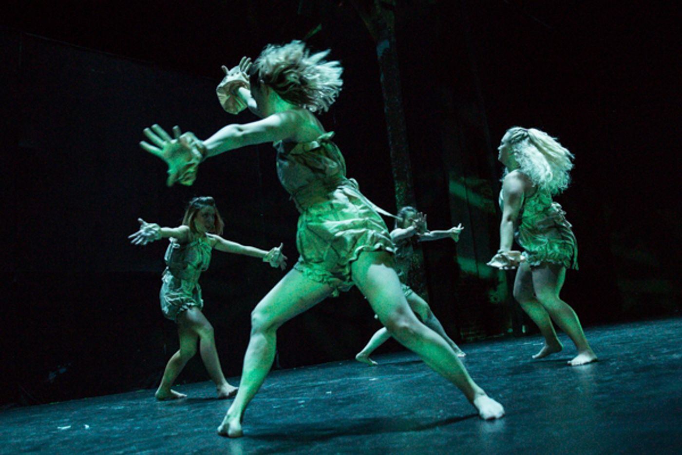 Photo Coverage: First look at New Vision Dance Co.'s TAKING ROOT Photo Coverage: First look at New Vision Dance Co.'s TAKING ROOT Image