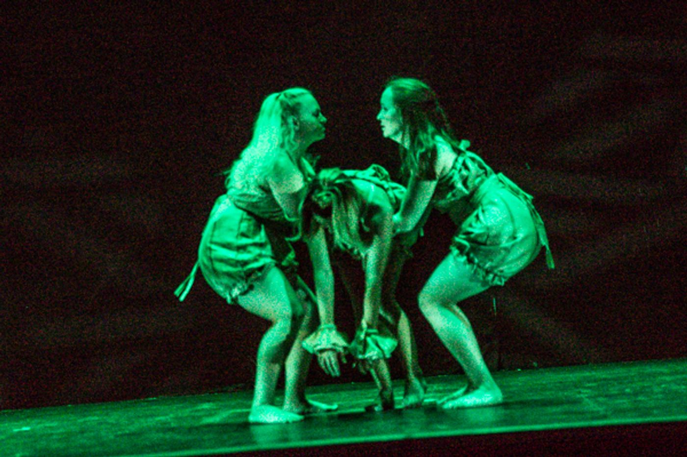 Photo Coverage: First look at New Vision Dance Co.'s TAKING ROOT Photo Coverage: First look at New Vision Dance Co.'s TAKING ROOT Image