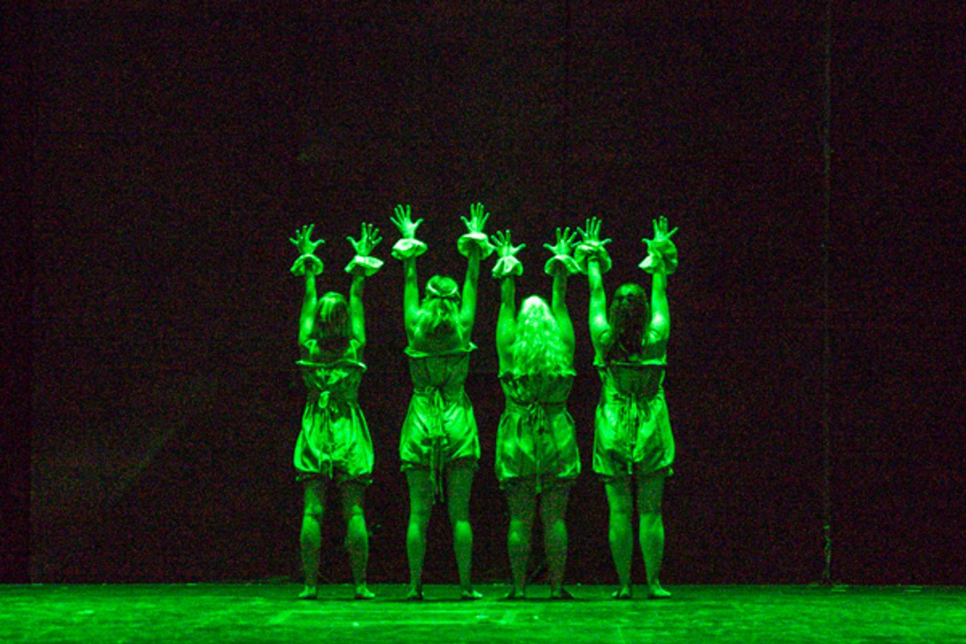 Photo Coverage: First look at New Vision Dance Co.'s TAKING ROOT Photo Coverage: First look at New Vision Dance Co.'s TAKING ROOT Image