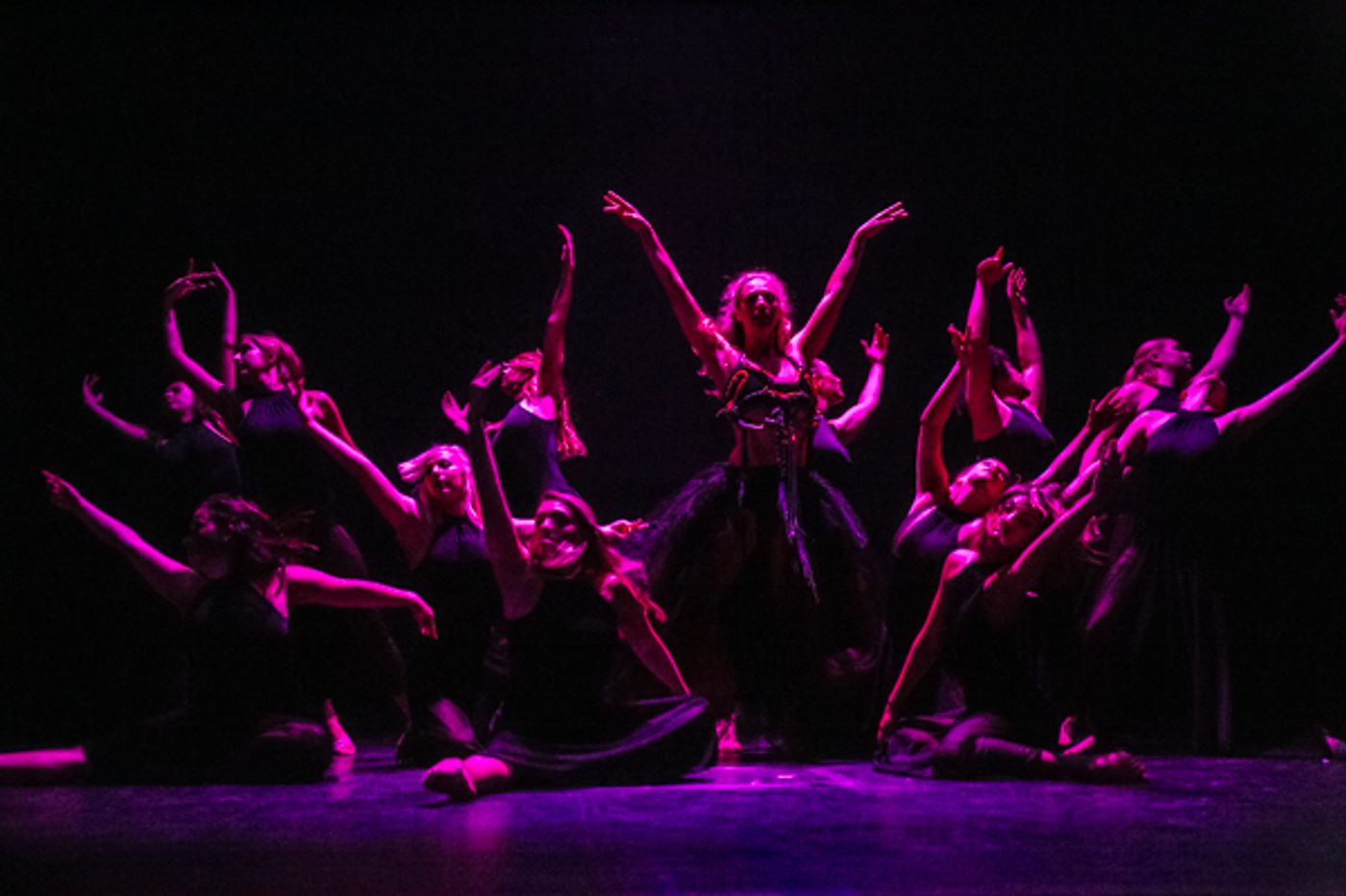Photo Coverage: First look at New Vision Dance Co.'s TAKING ROOT Photo Coverage: First look at New Vision Dance Co.'s TAKING ROOT Image