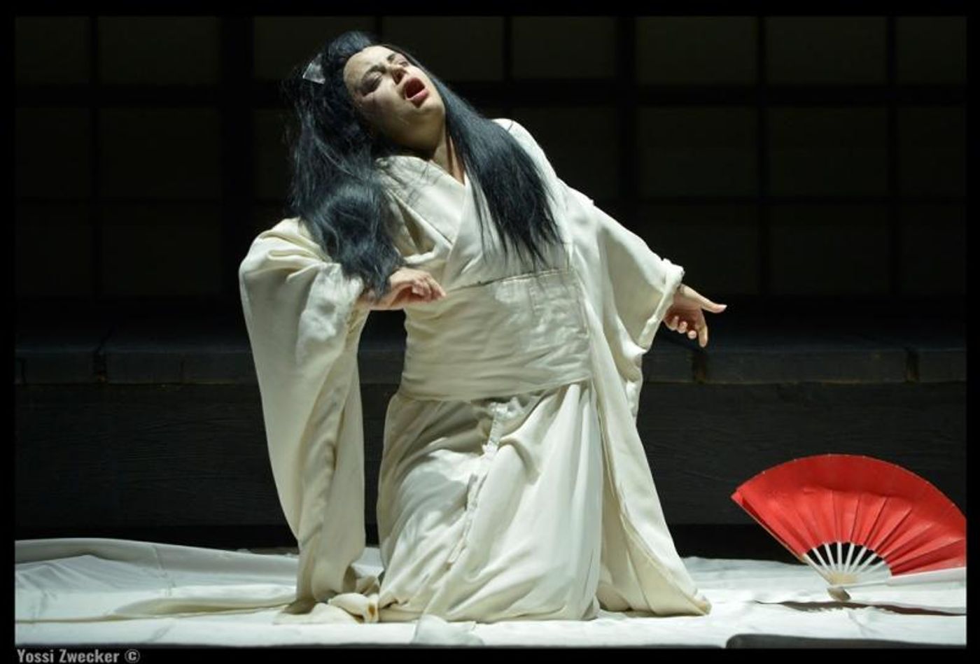 Review: MADAMA BUTTERFLY at The Israeli Opera  Image