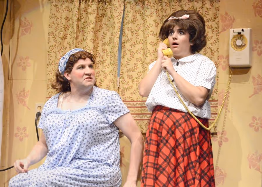 Review: Laguna Playhouse Welcomes Adorably Plucky HAIRSPRAY Image